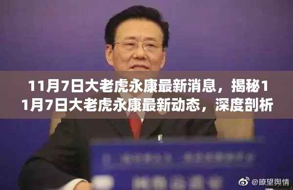 揭秘,大老虎永康最新动态与背后故事曝光(11月7日更新)