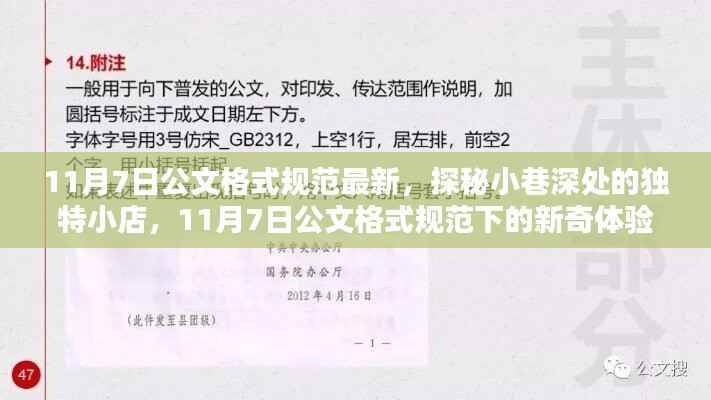 探秘小巷深处的独特小店，揭秘最新公文格式规范下的新奇体验
