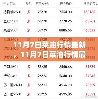 11月7日菜油行情最新动态,变化中的学习,自信与成就感的源泉