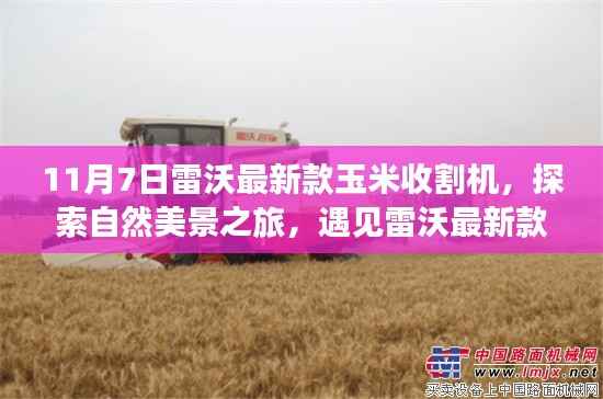 雷沃最新款玉米收割机，自然探索之旅与内心宁静的交汇点
