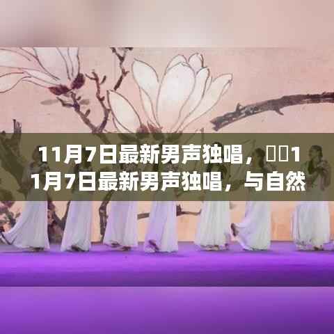 最新男声独唱，与自然美景的邂逅之旅，探寻内心宁静港湾