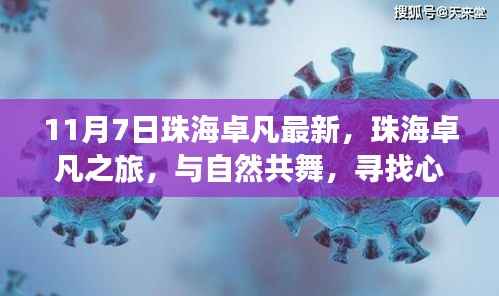 珠海卓凡之旅,与自然共舞,探寻心灵宁静之地