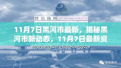 项目介绍 第672页