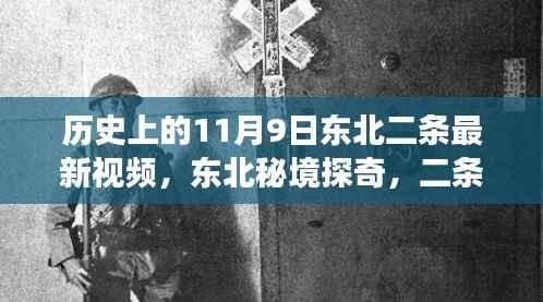 项目介绍 第668页