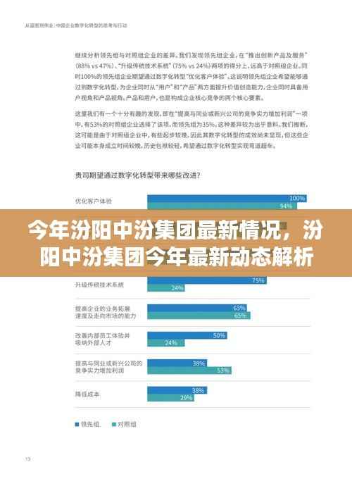 汾阳中汾集团最新动态解析，今年最新情况一览