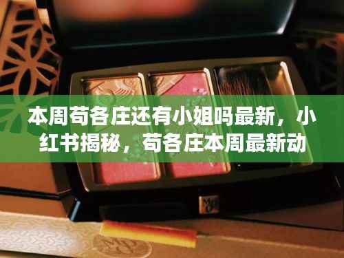 苟各庄涉黄最新动态揭秘,探寻本周小姐踪迹,小红书曝光真相