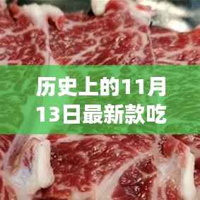 历史上的11月13日美食崛起之路揭秘,最新款美食的探索之旅