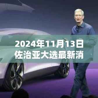 2024年佐治亚大选最新动态与全攻略,11月13日选举参与指南