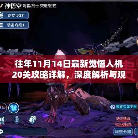 往年11月14日最新觉悟人机20关攻略详解,深度解析与观点探讨