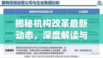 揭秘机构改革最新动态,深度解读与案例分析(截至11月14日)