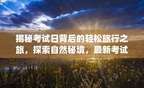 百鸟归巢 第5页