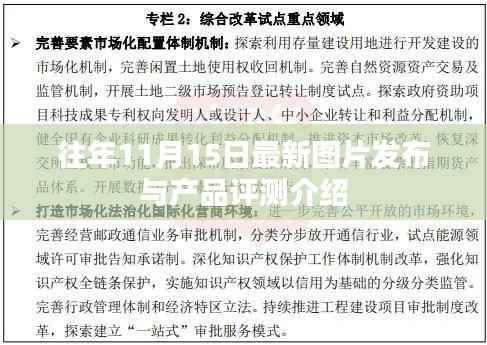 往年11月15日最新图片发布与产品评测介绍