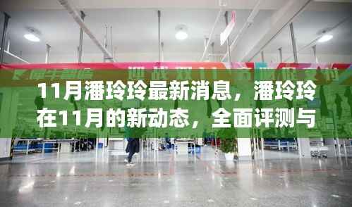 潘玲玲十一月最新动态,全面评测与深度介绍