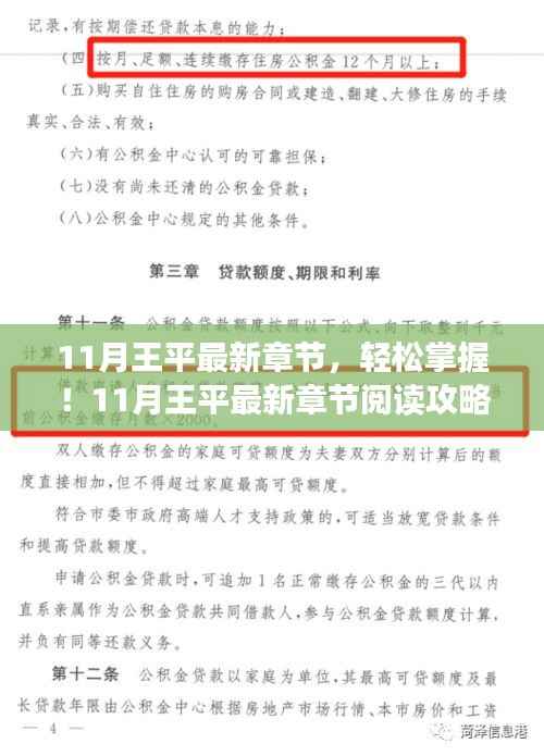 11月王平最新章节阅读指南，轻松掌握攻略