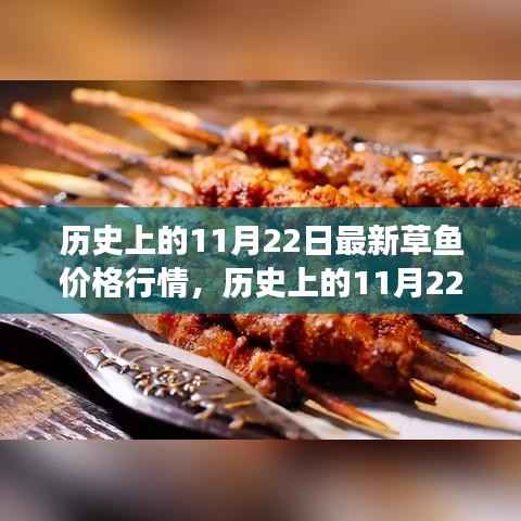 历史上的11月22日草鱼市场行情深度解析与最新价格查询指南