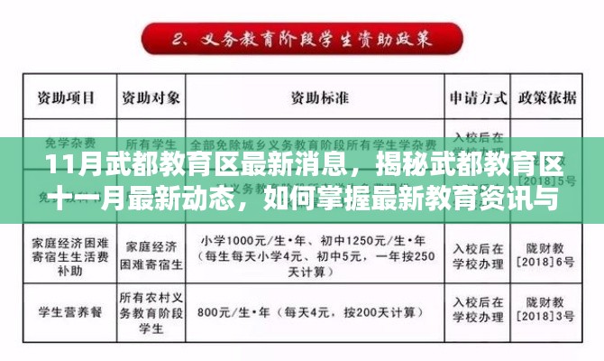 揭秘武都教育区十一月最新动态，掌握最新教育资讯与技能提升指南
