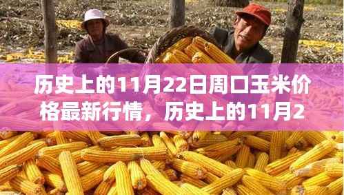 历史上的11月22日周口玉米价格深度解析与最新行情回顾