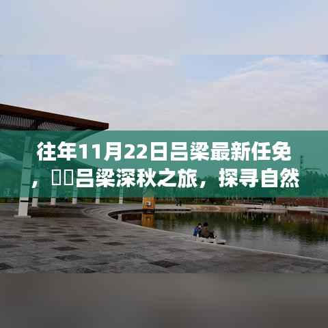吕梁任免消息揭秘与深秋自然美景探寻之旅