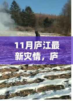 庐江十一月灾情严峻，众志成城共抗风雨无情