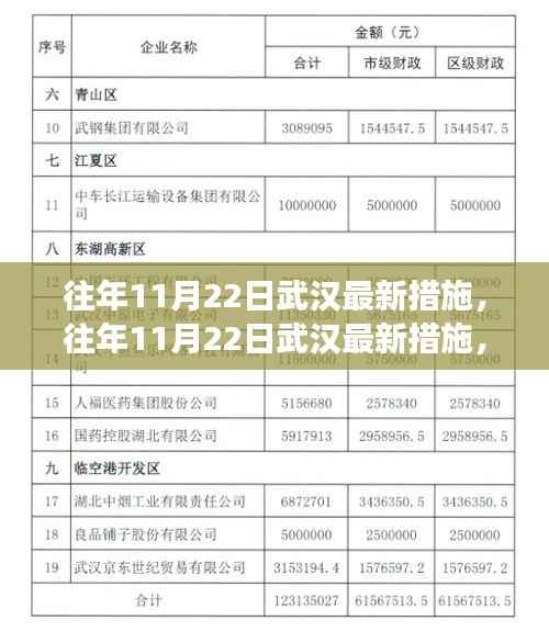 武汉城市管理新篇章，历年11月22日措施的细致变革与革新之路