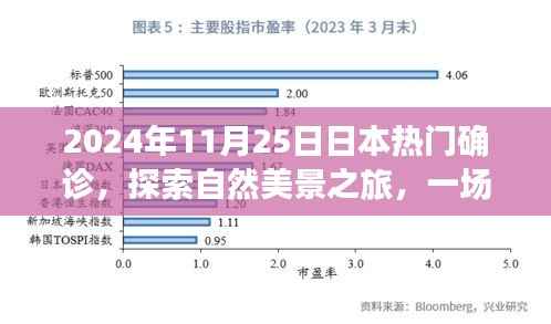 探索日本自然美景之旅，远离尘嚣的心灵确诊之旅（2024年11月25日）