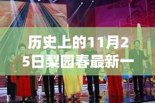 梨园春李树建专场深度解析,历史背景、节目特性与竞品对比