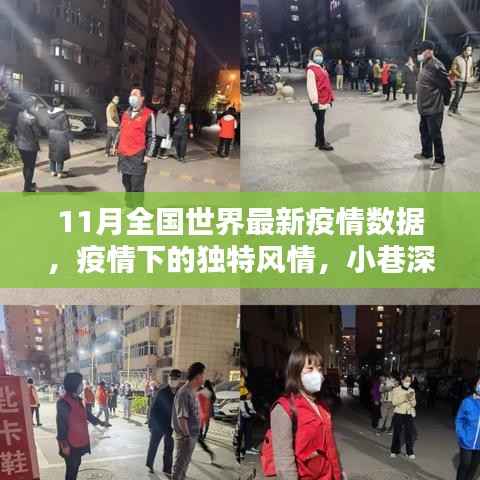 11月全球最新疫情数据,小巷特色小店中的疫情风情与全国实时动态分析