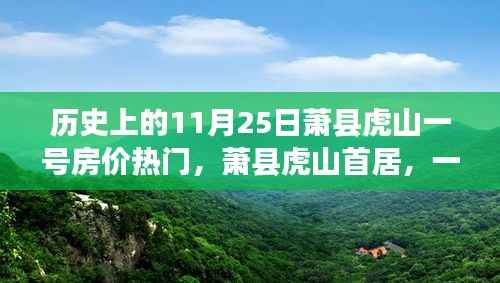 萧县虎山一号房价背后的故事,历史时刻与温馨居所的探寻