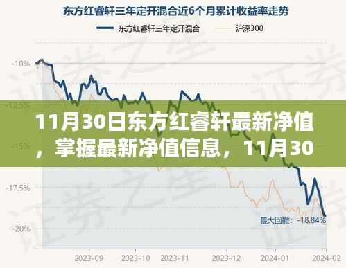 11月30日东方红睿轩最新净值查询全攻略,初学者与进阶用户适用的净值信息及操作指南