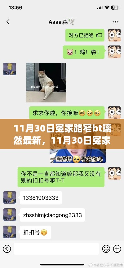 11月30日冤家路窄BT璃然事件回顾与最新影响解析