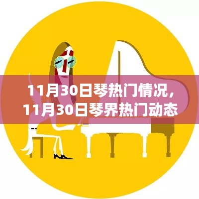 11月30日琴界热门动态深度解析,热门情况一览