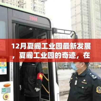 夏阁工业园,奇迹展现与自然的和谐融合——探寻内心的宁静与力量