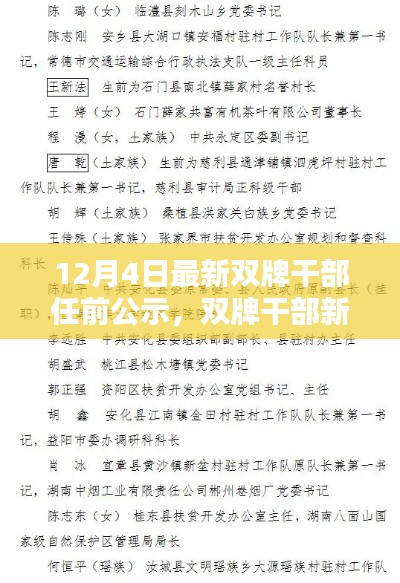 双牌干部任前公示日，新篇章、小温馨与友情力量的展现