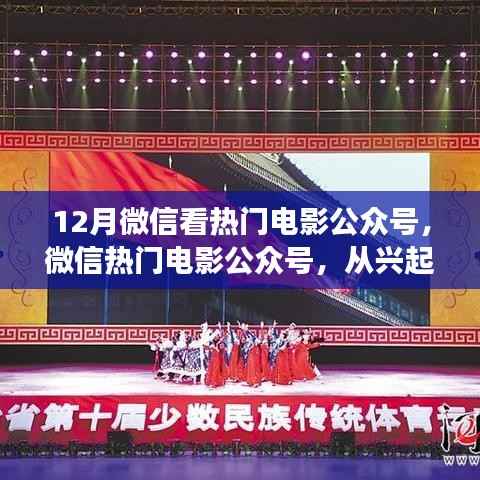 微信热门电影公众号回顾之旅,从兴起至繁荣的十二月回顾