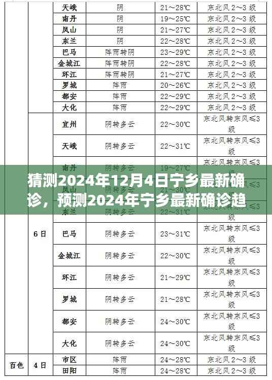 预测宁乡未来确诊趋势与健康挑战应对策略，2024年最新预测与探讨
