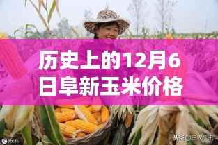 射飞逐走 第4页