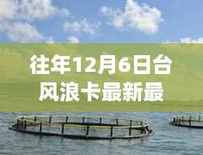 温馨日常的台风故事,浪卡来袭,最新台风浪卡动向揭秘