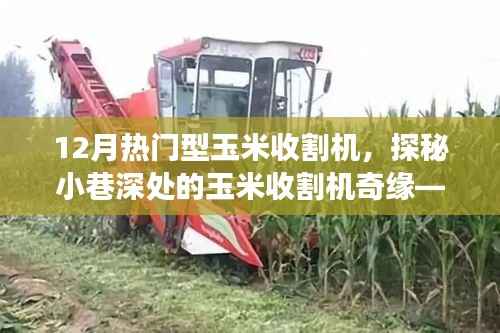 探秘热门型玉米收割机，小巷深处的奇缘与体验之旅