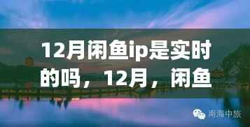 闲鱼IP在冬季引领我们走进自然美景，探寻内心平和宁静的奥秘