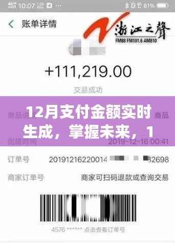 掌握未来支付趋势,实时生成12月支付金额,开启自信梦想之旅
