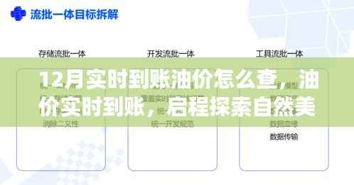 油价实时到账，启程探索自然美景，油价查询与心灵之旅的双重体验