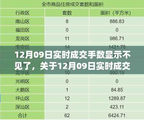 12月09日实时成交手数显示异常的技术分析与解决建议