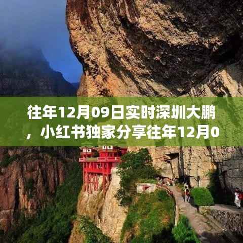 文质彬彬 第3页