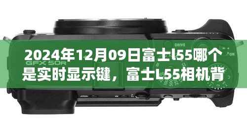 富士L55相机背后的故事，探索实时显示键与摄影之旅的温馨时刻