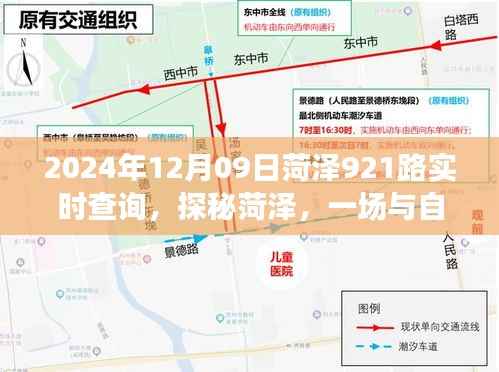 探秘菏泽自然美景,菏泽921路公交车实时查询与浪漫邂逅之旅(2024年12月09日)