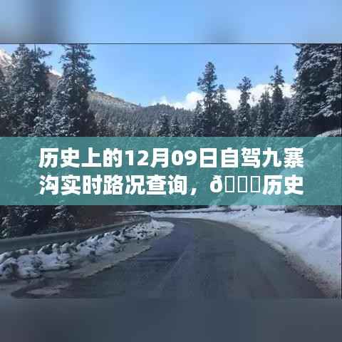 🚗驾驭九寨沟，历史时刻与实时路况智能导航新纪元🌄