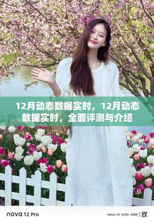 实时掌握,全面评测与介绍12月动态数据