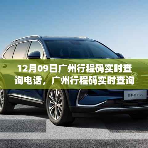 广州行程码实时查询电话详解，服务评测、特性体验与竞品对比