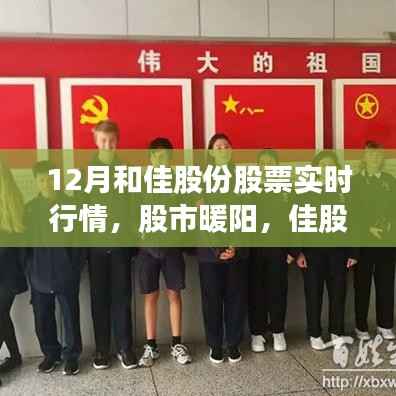 佳股份十二月股市行情,暖阳下的佳股份情缘实时追踪