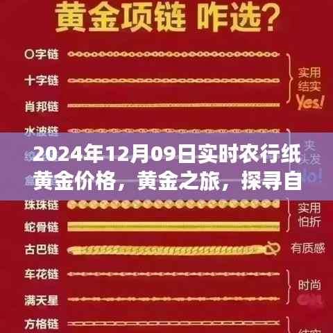 农行纸黄金价格动态,黄金之旅与美景的奇妙碰撞